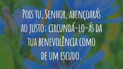 Pois tu, Senhor, abençoarás ao justo; circundá-lo-ás da tua benevolência como de um escudo.