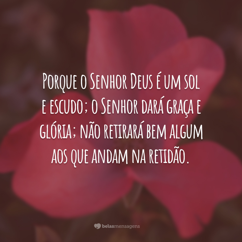 Porque o Senhor Deus é um sol e escudo; o Senhor dará graça e glória; não retirará bem algum aos que andam na retidão.