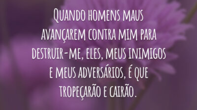 Quando homens maus avançarem contra mim para destruir-me, eles, meus inimigos e meus adversários, é que tropeçarão e cairão.