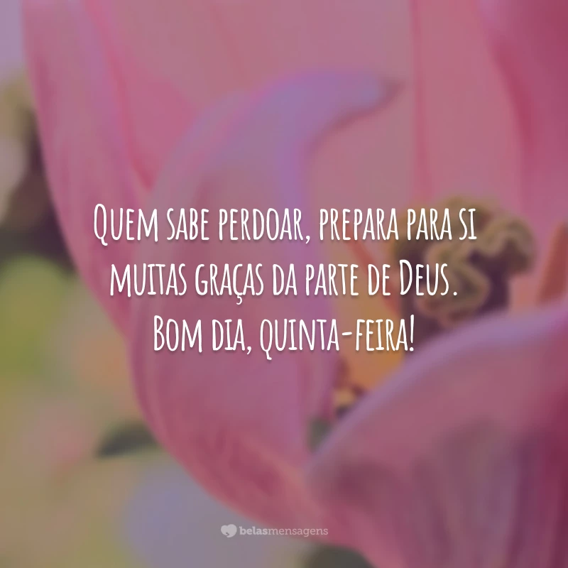 Quem sabe perdoar, prepara para si muitas graças da parte de Deus. Bom dia, quinta-feira!