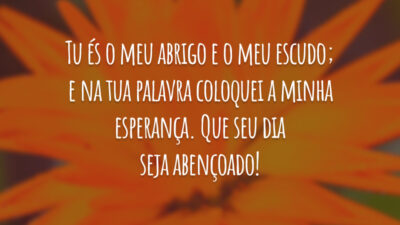 Tu és o meu abrigo e o meu escudo; e na tua palavra coloquei a minha esperança. Que seu dia seja abençoado!