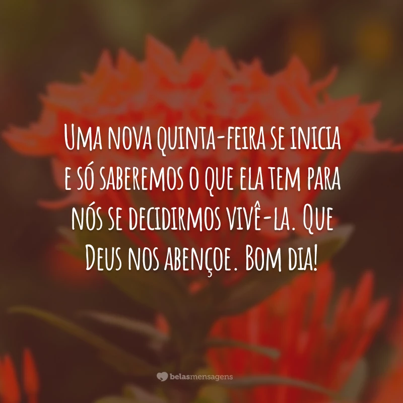 Uma nova quinta-feira se inicia e só saberemos o que ela tem para nós se decidirmos vivê-la. Que Deus nos abençoe. Bom dia!