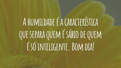 A humildade é a característica que separa quem é sábio de quem é só inteligente. Bom dia!