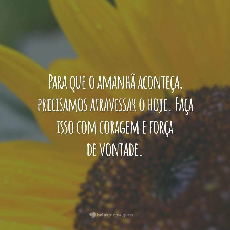 Para que o amanhã aconteça, precisamos atravessar o hoje. Faça isso com coragem e força de vontade.