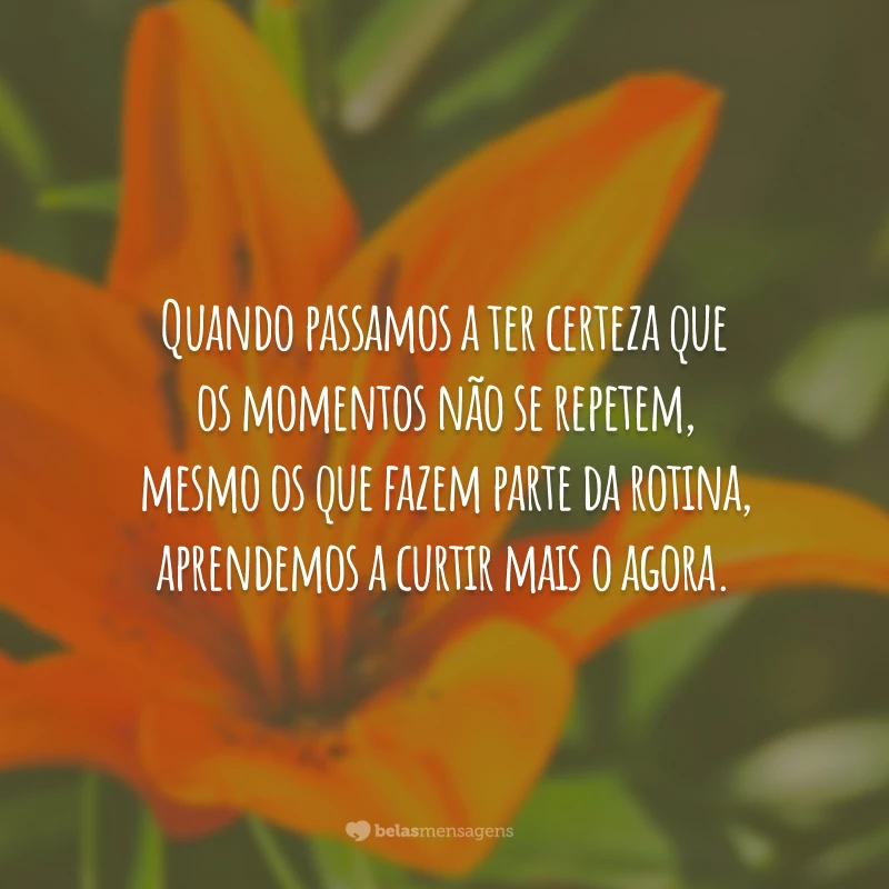 Quando passamos a ter certeza que os momentos não se repetem, mesmo os que fazem parte da rotina, aprendemos a curtir mais o agora.