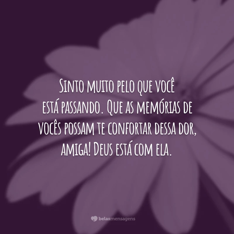 Sinto muito pelo que você está passando. Que as memórias de vocês possam te confortar dessa dor, amiga! Deus está com ela.