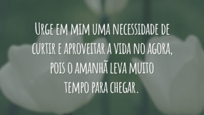 Urge em mim uma necessidade de curtir e aproveitar a vida no agora, pois o amanhã leva muito tempo para chegar.