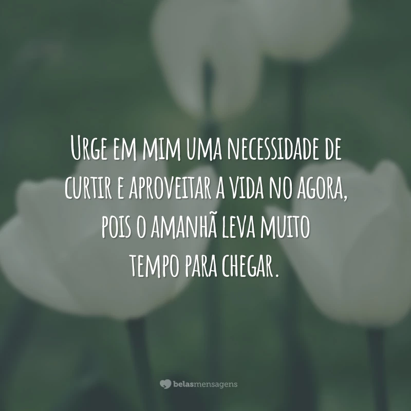 Urge em mim uma necessidade de curtir e aproveitar a vida no agora, pois o amanhã leva muito tempo para chegar.