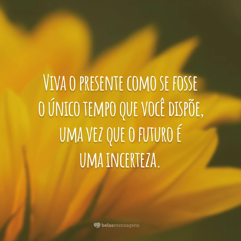 Viva o presente como se fosse o único tempo que você dispõe, uma vez que o futuro é uma incerteza.