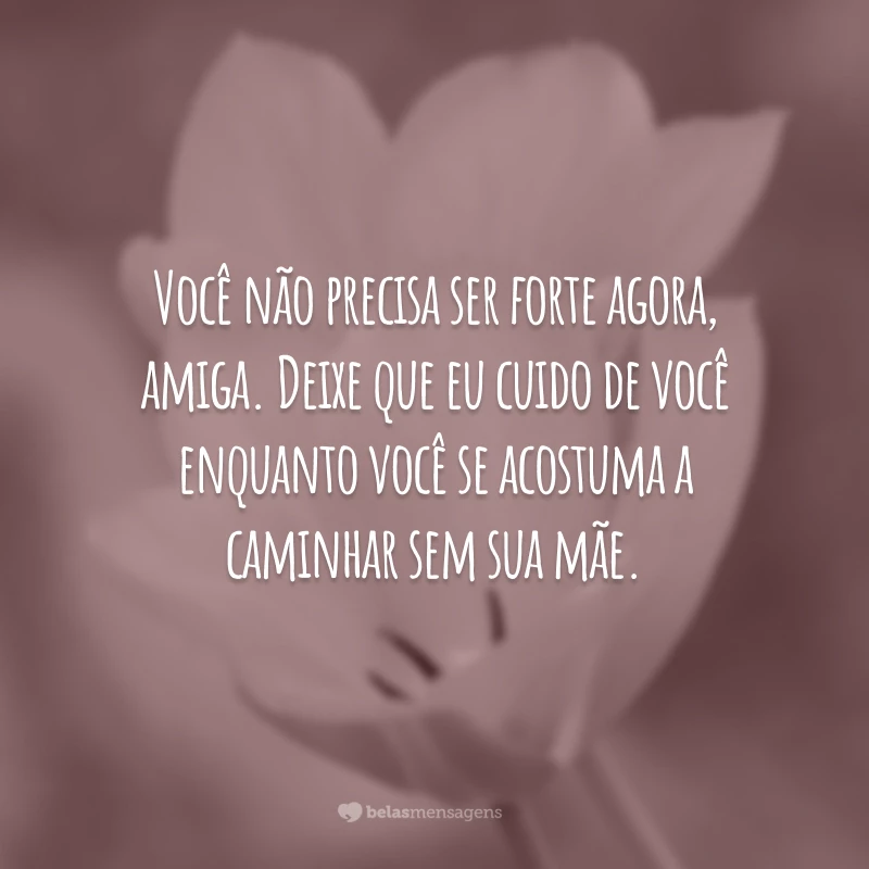 Você não precisa ser forte agora, amiga. Deixe que eu cuido de você enquanto você se acostuma a caminhar sem sua mãe.