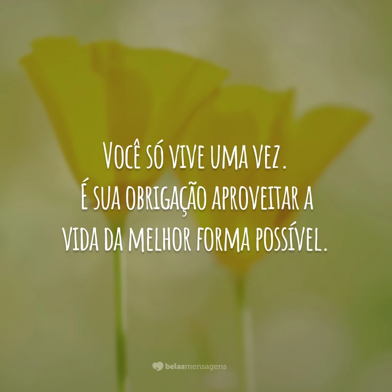 Você só vive uma vez. É sua obrigação aproveitar a vida da melhor forma possível.