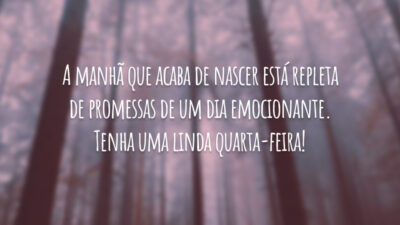 A manhã que acaba de nascer está repleta de promessas de um dia emocionante. Tenha uma linda quarta-feira!