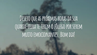 Desejo que as próximas horas da sua quarta-feira te tirem o fôlego por serem muito emocionantes. Bom dia!
