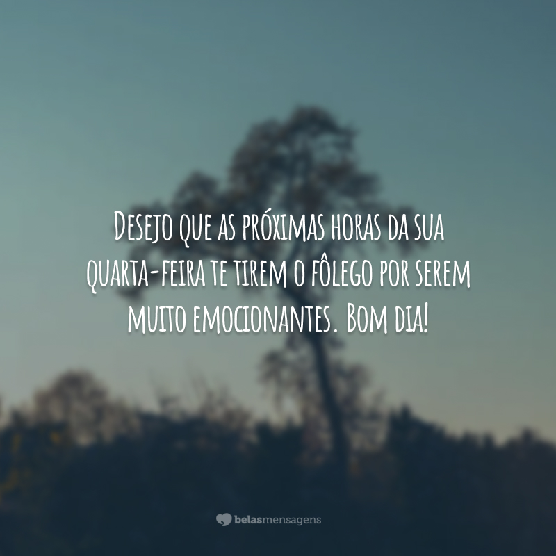 Desejo que as próximas horas da sua quarta-feira te tirem o fôlego por serem muito emocionantes. Bom dia!