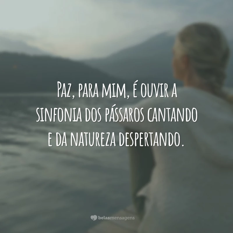 Paz, para mim, é ouvir a sinfonia dos pássaros cantando e da natureza despertando.