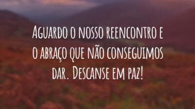 Aguardo o nosso reencontro e o abraço que não conseguimos dar. Descanse em paz!