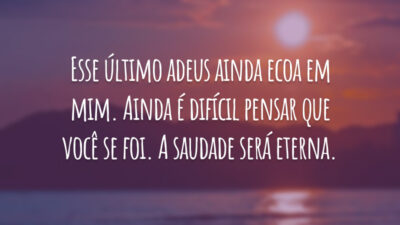 Esse último adeus ainda ecoa em mim. Ainda é difícil pensar que você se foi. A saudade será eterna.