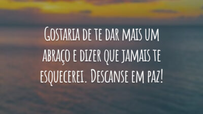Gostaria de te dar mais um abraço e dizer que jamais te esquecerei. Descanse em paz!