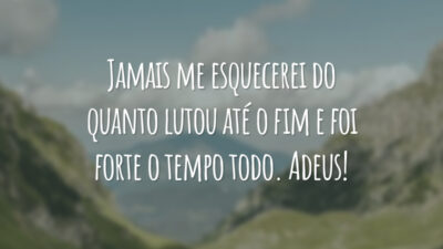 Jamais me esquecerei do quanto lutou até o fim e foi forte o tempo todo. Adeus!