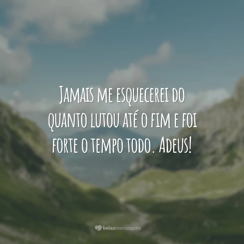 Jamais me esquecerei do quanto lutou até o fim e foi forte o tempo todo. Adeus!