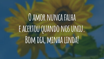 O amor nunca falha e acertou quando nos uniu. Bom dia, minha linda!