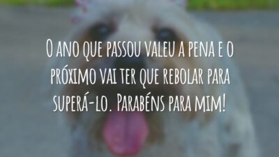 O ano que passou valeu a pena e o próximo vai ter que rebolar para superá-lo. Parabéns para mim!