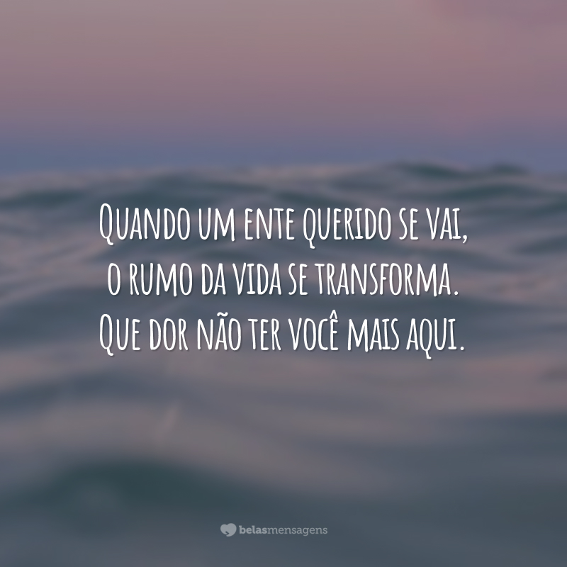 Quando um ente querido se vai, o rumo da vida se transforma. Que dor não ter você mais aqui.