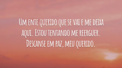 Um ente querido que se vai e me deixa aqui. Estou tentando me reerguer. Descanse em paz, meu querido.