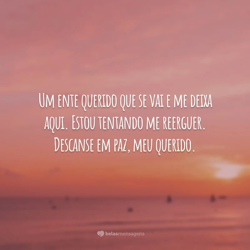 Um ente querido que se vai e me deixa aqui. Estou tentando me reerguer. Descanse em paz, meu querido.