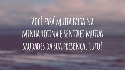 Você fará muita falta na minha rotina e sentirei muitas saudades da sua presença. Luto!