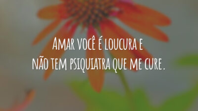 Amar você é loucura e não tem psiquiatra que me cure.