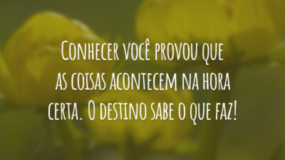 Conhecer você provou que as coisas acontecem na hora certa. O destino sabe o que faz!