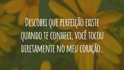 Descobri que perfeição existe quando te conheci, você tocou diretamente no meu coração.