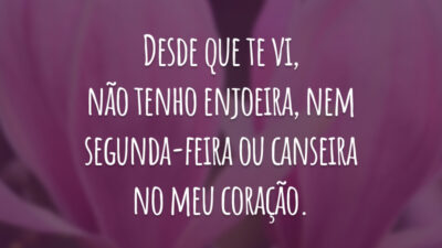 Desde que te vi, não tenho enjoeira, nem segunda-feira ou canseira no meu coração.
