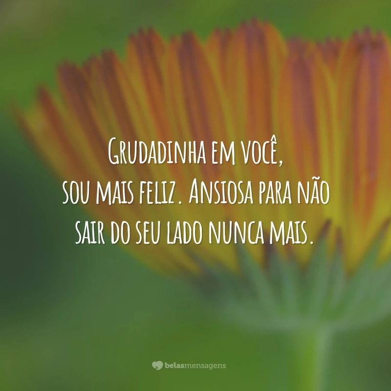 Grudadinha em você, sou mais feliz. Ansiosa para não sair do seu lado nunca mais.