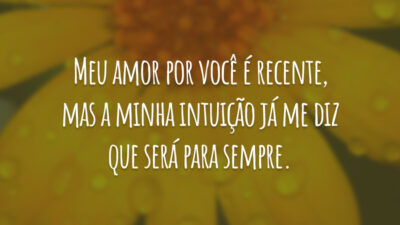 Meu amor por você é recente, mas a minha intuição já me diz que será para sempre.