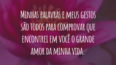 Minhas palavras e meus gestos são todos para comprovar que encontrei em você o grande amor da minha vida.