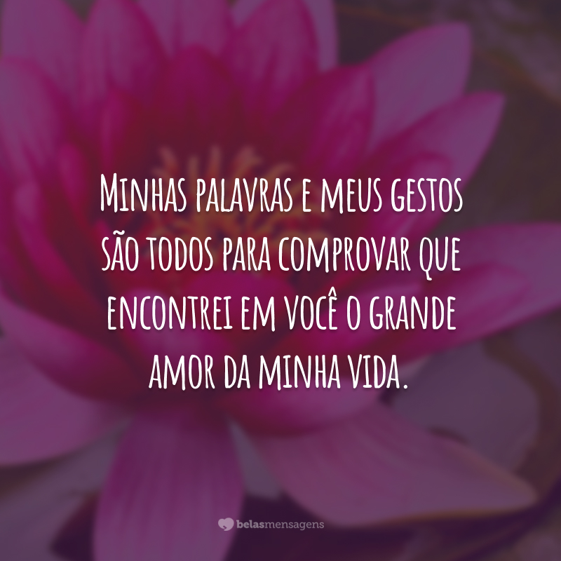 Minhas palavras e meus gestos são todos para comprovar que encontrei em você o grande amor da minha vida.