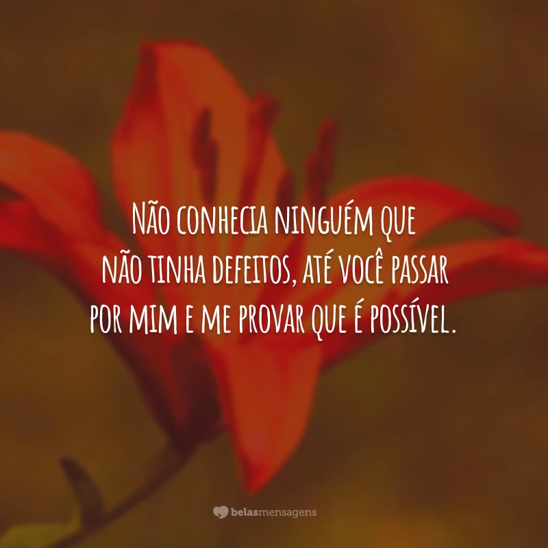 Não conhecia ninguém que não tinha defeitos, até você passar por mim e me provar que é possível.