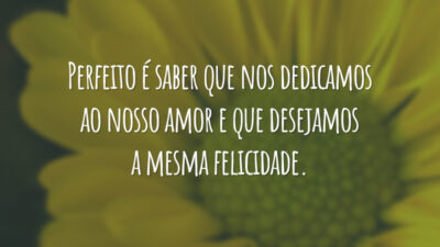 Perfeito é saber que nos dedicamos ao nosso amor e que desejamos a mesma felicidade.