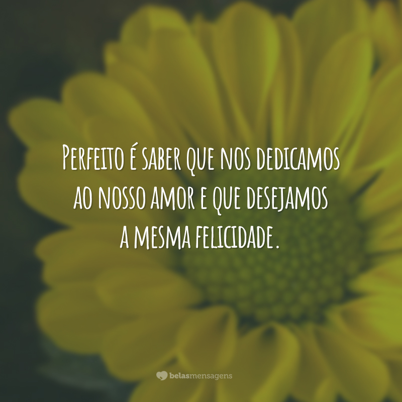 Perfeito é saber que nos dedicamos ao nosso amor e que desejamos a mesma felicidade.