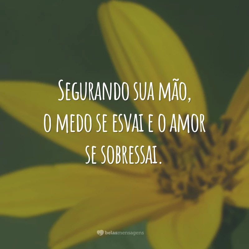 Segurando sua mão, o medo se esvai e o amor se sobressai.