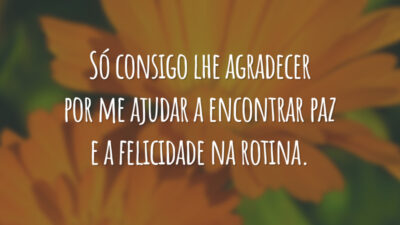 Só consigo lhe agradecer por me ajudar a encontrar paz e a felicidade na rotina.