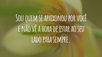 Sou quem se apaixonou por você e não vê a hora de estar ao seu lado para sempre.