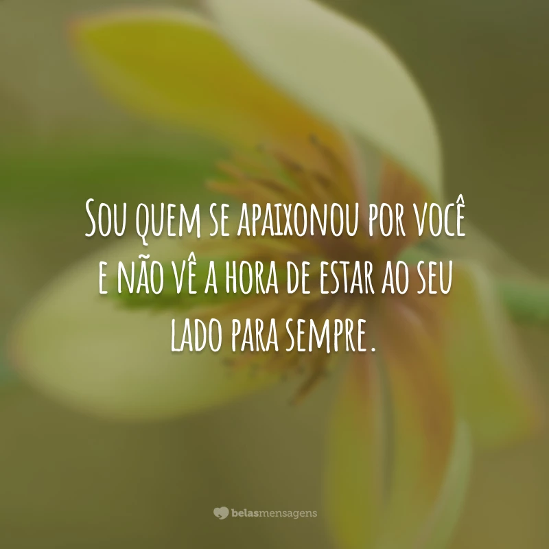 Sou quem se apaixonou por você e não vê a hora de estar ao seu lado para sempre.