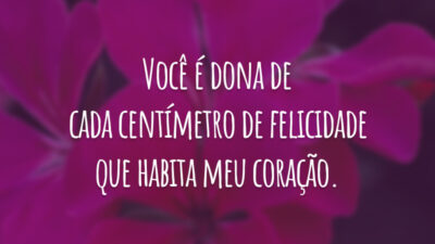 Você é dona de cada centímetro de felicidade que habita meu coração.