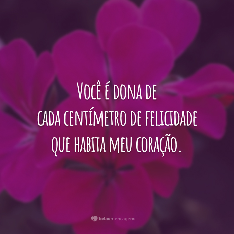 Você é dona de cada centímetro de felicidade que habita meu coração.