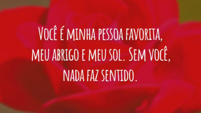 Você é minha pessoa favorita, meu abrigo e meu sol. Sem você, nada faz sentido.