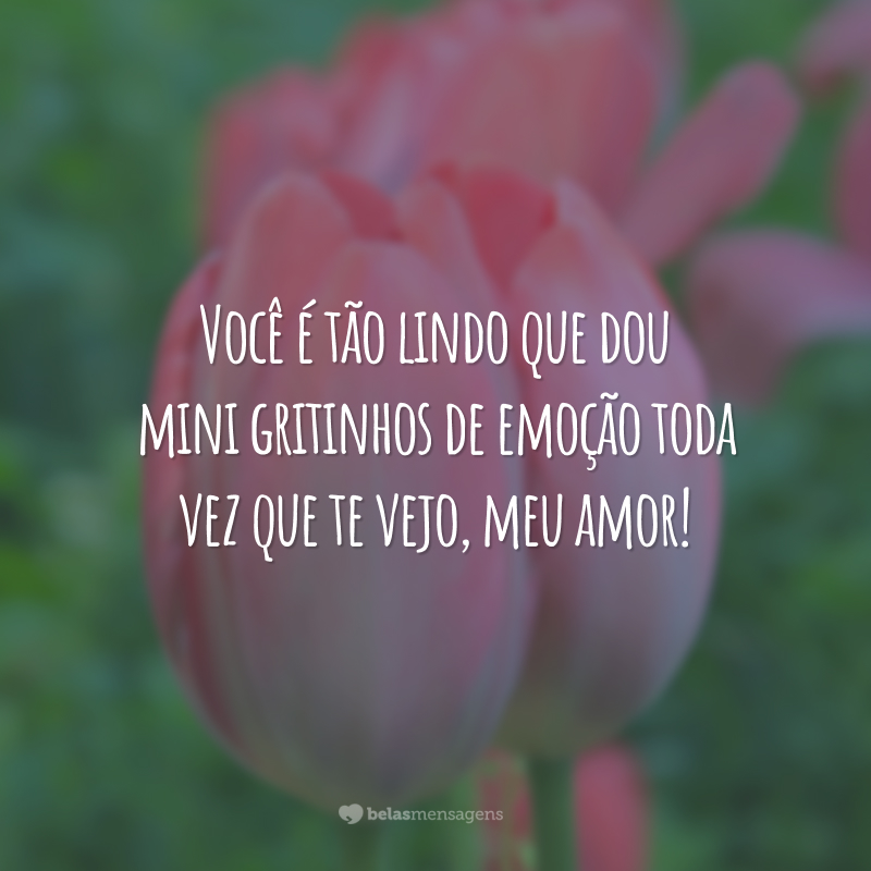 Você é tão lindo que dou mini gritinhos de emoção toda vez que te vejo, meu amor!