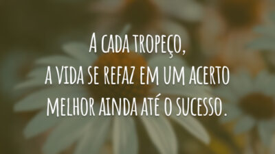 A cada tropeço, a vida se refaz em um acerto melhor ainda até o sucesso.